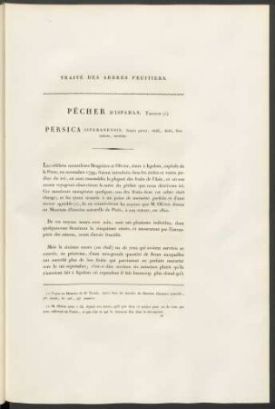 Pêcher D'Ispahan. Thouin (1). Persica Ispahanensis ...