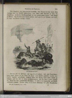 Die Ermordung Cook's