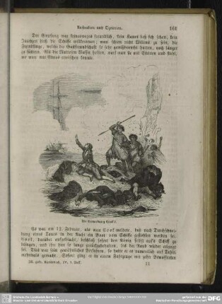 Die Ermordung Cook's
