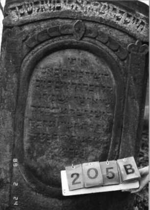 Grabstein 205 (Index: 99752081) Material: Sandstein Zustand: leicht verwittert Maße HxBxT: 144x71x14 cm Beschreibung: Stele, Eselsbrückenabschluß, ovales Schriftfeld eingetieft Symbolik: Scheibenfries, stilisierte Pilaster neben dem Schriftfeld, Blüte, Schriftband: Grabstein 205B