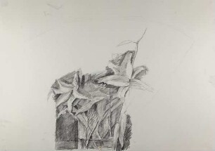 Ohne Titel (Lilien)