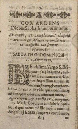 [Hauptteil Meditationes per annum Sabbatho Dominicae 1. Adventus - Sabbatho Dominicae Dedicationis templi.]