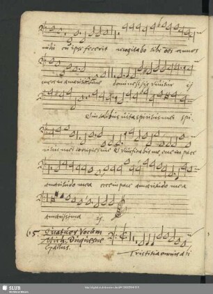 65. Duquesne, M.: Tristitia omnis