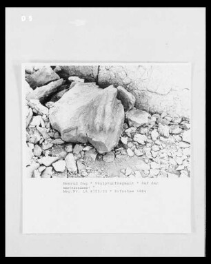 Fragment eines Adlers