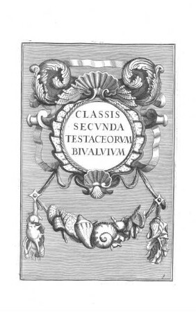 g. Classis Secunda Testaceorum Bivalvium