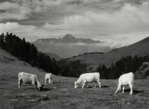Blick zum Pic du Midi de Bagore
