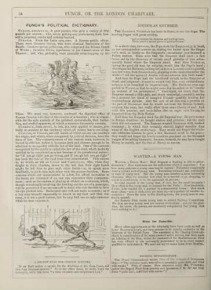 Punch's political dictionary