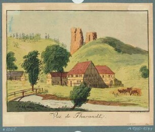 Tharandt, Bauernhof vor Burgruine
