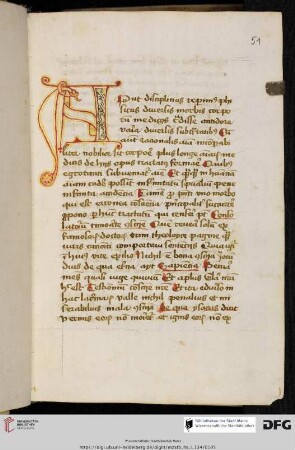 Johannes Nider, Consolatorium timoratae conscientiae
