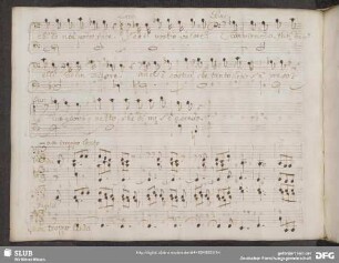 Aria: Il vecchio pipistrello