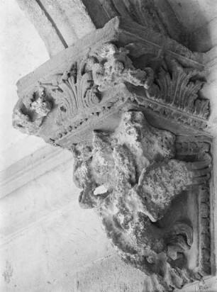 Adler