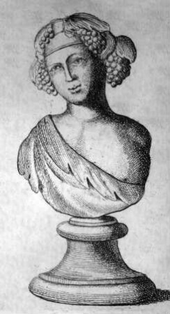 Büste des jugendlichen Bacchus