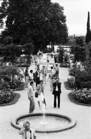 Mainau, Insel Mainau: Brunnen im Rosengarten