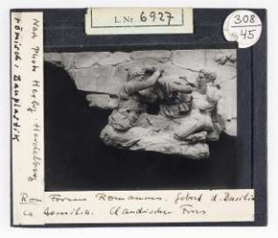 Rom: Forum Romanum, Basilica Aemilia, Claudischer Fries