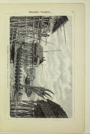 Ein Pfahldorf in West-Neuguinea