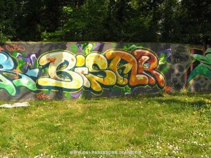 PoWeR BiSAR | "PoWeR" CWK ..RBK | ..'11...
