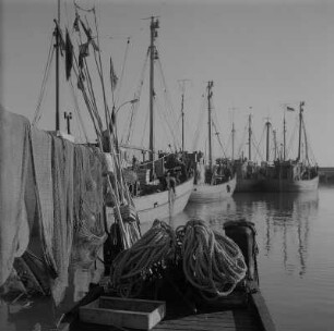 Saßnitz. Fischereihafen mit Fischerbooten