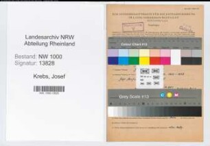 Entnazifizierung Josef Krebs, geb. 04.09.1907 (Landwirt)