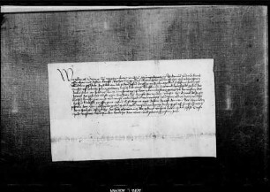 Graf Ulrich V. bestätigt den Gültverkauf WR 12 866.