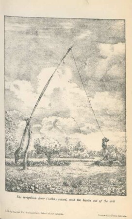 The irrigation lever (latha), raised ...