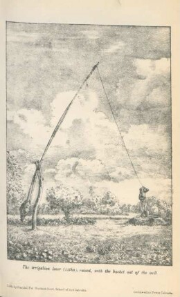 The irrigation lever (latha), raised ...