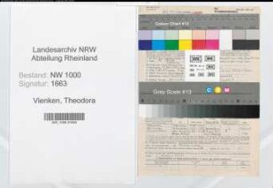 Entnazifizierung Theodora Vienken, geb. 12.06.1912 (Aerztin)