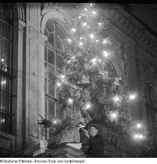 Weihnachtsbaum
