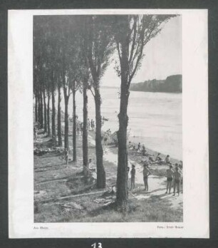 Am Rhein