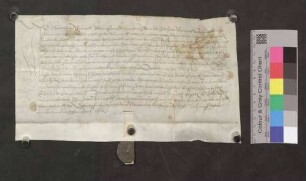Hans Veit von Blumenegg, Sohn der Margarethe von Blumenegg und des verstorbenen Hans Dietrich von Blumenegg, ist damit einverstanden, daß seine Mutter das Haus Valkenbühel und den Hof zu Baldenweg an David von Landeck um 1.200 Gulden verkauft hat, ebenso ihren Anteil am Zehnt zu Hugstetten.