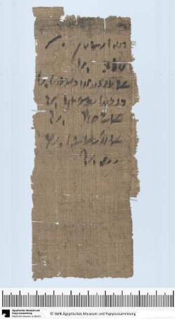 Demotischer Papyrus, Abrechnung in Listenform
