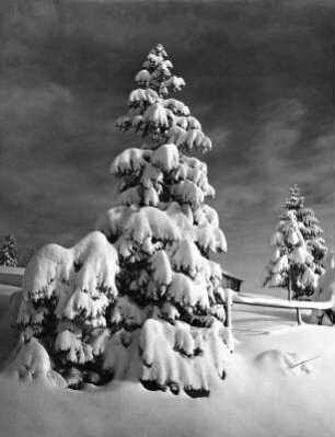 Winterlandschaft
