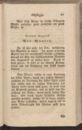 Viertes Kapitel. Von Wunden