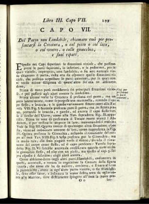 CAPO VII.