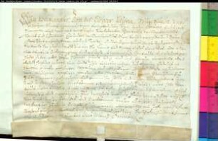 Freibrief des Abtes von Liesborn für Gertrud Willenbrinckes.
