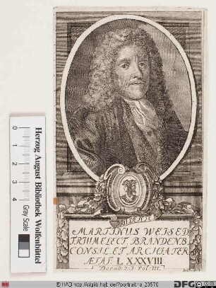 Bildnis Martin Weise (Weiße)