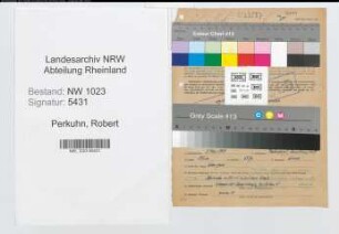 Entnazifizierung Robert Perkuhn , geb. 05.05.1909 (Ingenieur)