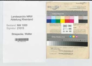 Entnazifizierung Walter Striepecke, geb. 31.03.1895 (Expedient)