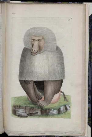 [Abb. 216]