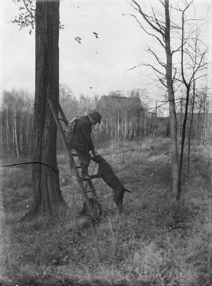 Jäger mit Hund : Unbekannter Ort. Jäger mit Hund an einem Baum