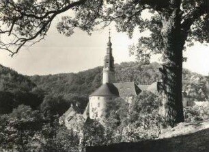 Schloss Weesenstein, Ansicht vom Abendfrieden, Weg nach Falkenhain, auf das Schloss