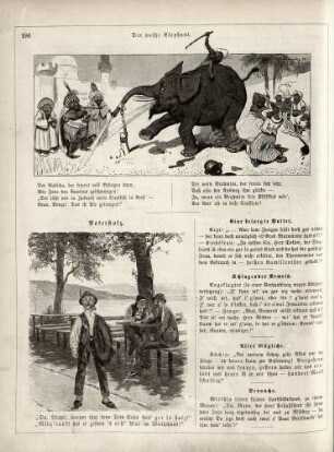 "Der weiße Elephant" "Vaterstolz"