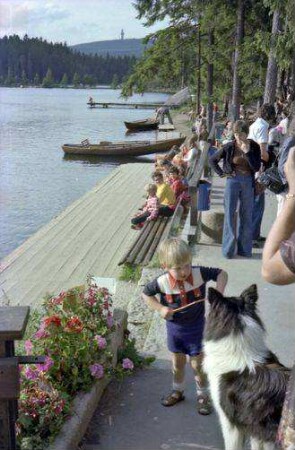 Fichtelsee: Bootssteg am Ufer beim Waldhaus