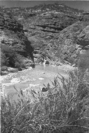 Fahrt nach Puerto Barrios (Lateinamerika-Aufenthalte 1934/1942 – 5. Mexiko 1937)