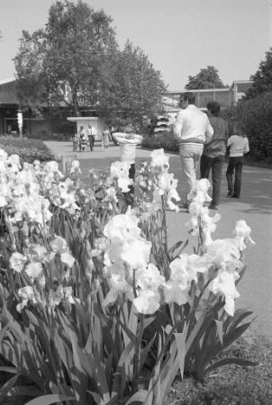 Besuch im Stadtgarten an Pfingsten