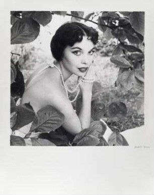 Ohne Titel (Modeaufnahme mit Lolo). Lolo im Farnkraut, Heidelberg, 1955