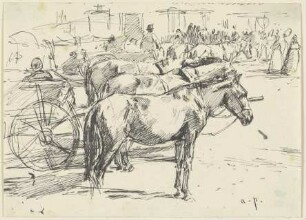 Karrengäule auf einem Marktplatz im ungarischen Szolnok