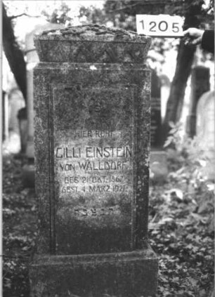 Grabstein 1205