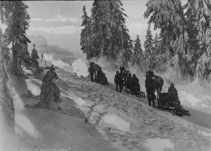 Thüringen, Rennsteig : Thüringen. Rennsteig, Einspänner-Schlitten an der Leine geführt. Winteraufnahme