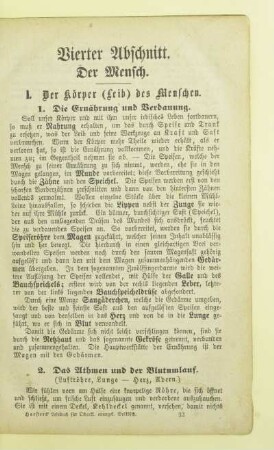 Vierter Abschnitt. Der Mensch