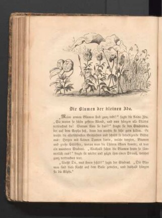 Die Blumen der kleinen Ida.
